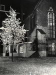 401099 Afbeelding van een boom in herfsttooi bij de Nicolaikerk (Nicolaaskerkhof) te Utrecht, bij avond.